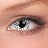 Crazy One-Day Vikingdom